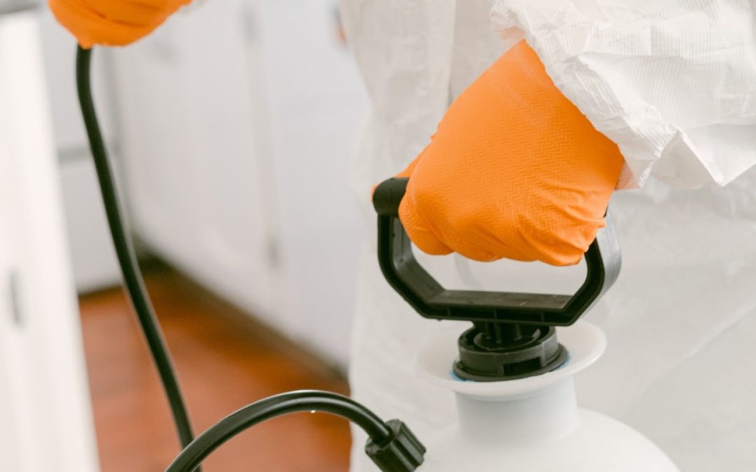 Getting ticked off with Lyme’s Disease – the PestX lowdown..