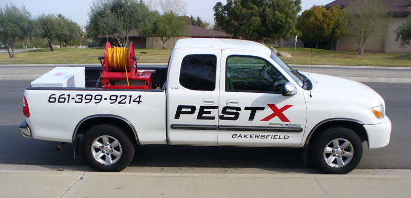 pestXcar-e1449535483830